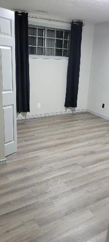 Bi-Level Basement for Rent - Photo 6