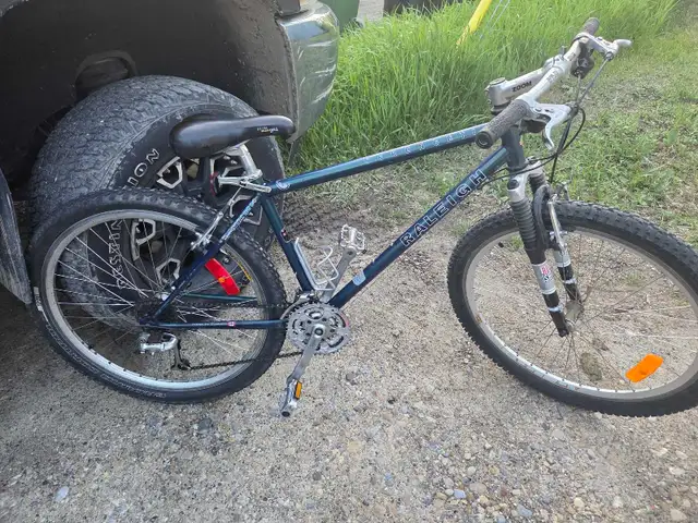 Raleigh Serengeti Mountain Bike
