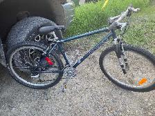 Raleigh Serengeti Mountain Bike
