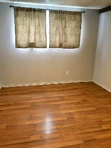 Spacious 2 Bedroom Basement Suite in Tuxedo - Photo 6