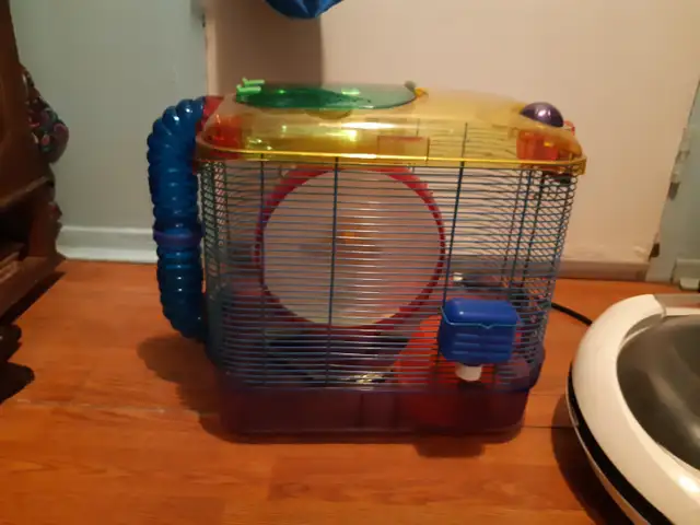 Cage For Sale