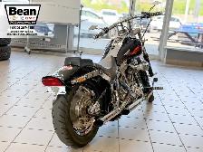 2005 Harley-Davidson FXST - Photo 4