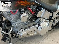 2005 Harley-Davidson FXST - Photo 8