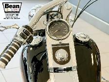 2005 Harley-Davidson FXST - Photo 10