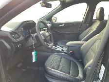 2026 Ford Escape ST-Line Elite - Photo 14