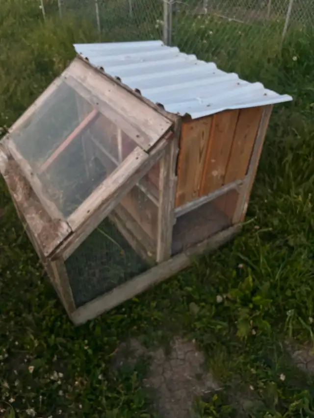 Chicken coop for sale