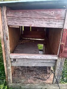 Chicken coop for sale - Photo 3