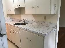 2 Bedroom Apt - Walking distance to U of C - Photo 4