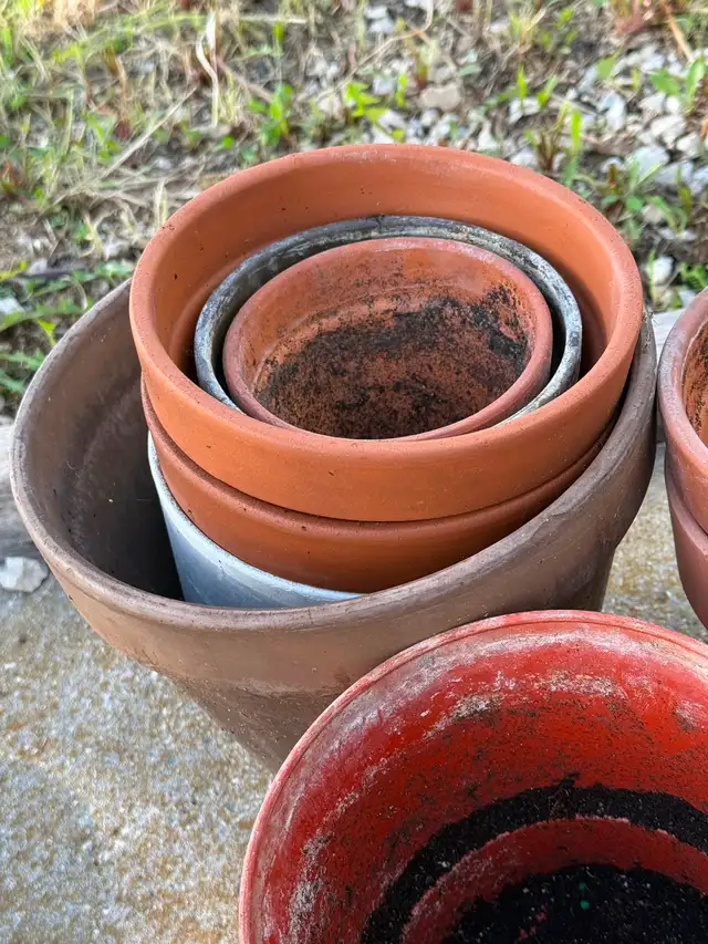 6 clay pots and a few plastic