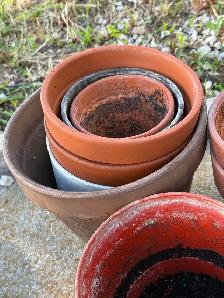 6 clay pots and a few plastic