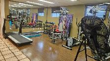 DT Brampton Queen St W- Chiropractor/Naturopath - Photo 4