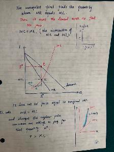 Economics & Calculus Tutor for Waterloo / Laurier Students - Photo 3