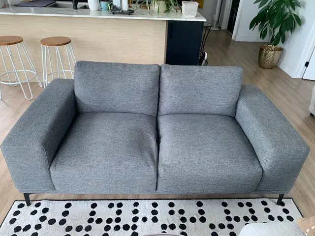 Beau sofa gris, simple et élégant