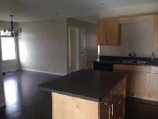 2 Bedroom plus den Duplex for Rent in Steinbach - Photo 3