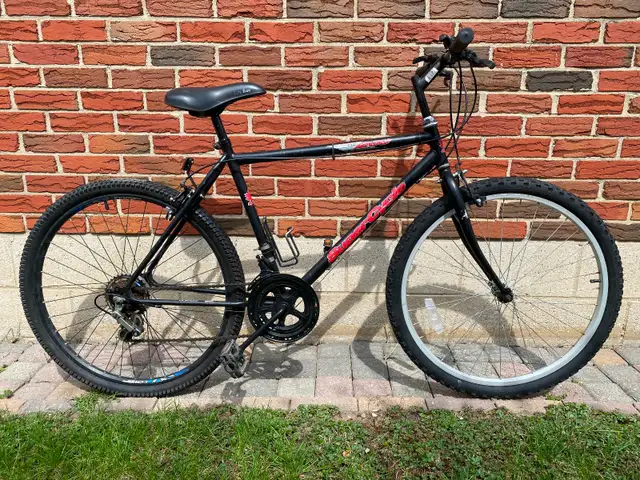 Mountain Bike