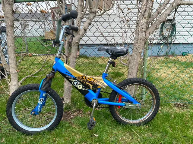 Kids Mountain Bike