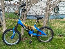 Kids Mountain Bike