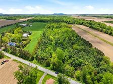 TERRE À BOIS de 55,89 arpents, Saint-Bernard-de-Michaudville