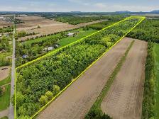 TERRE À BOIS de 55,89 arpents, Saint-Bernard-de-Michaudville - Photo 2
