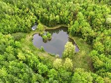 TERRE À BOIS de 55,89 arpents, Saint-Bernard-de-Michaudville - Photo 4