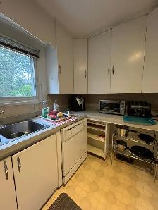 1 ROOM for RENT All Girls House -Near McMaster ($775 All INCL) - Photo 7