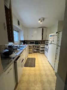1 ROOM for RENT All Girls House -Near McMaster ($775 All INCL) - Photo 8
