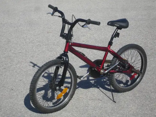 REAL OLD SCHOOL 20' DYNO SERIES TRICK BMX PLUS REAR STUNT PEGS!