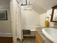 1 bedroom plus den/second bedroom - Available August 1 - Photo 4