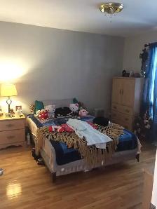 Belle chambre en colocation/Vieux-Longueuil/Tout inclus   meublé - Photo 5
