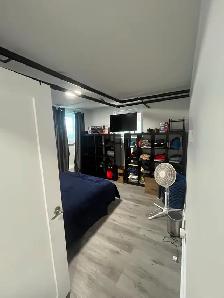 Beau logement rénové, 1 ch , metro Monk , 1 er juillet, 4 électr - Photo 5