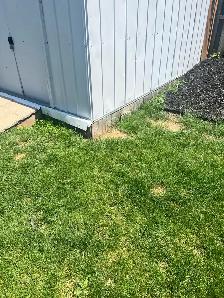 shed for sale - Photo 4