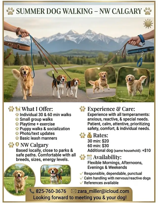 Dog Walker