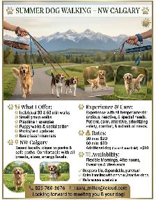Dog Walker