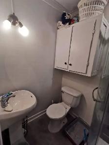 Très Beau Grand 1 1/2, Rue Bagot St-Sauveur Juillet PROMO ! - Photo 8