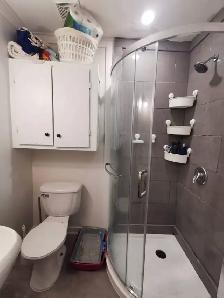 Très Beau Grand 1 1/2, Rue Bagot St-Sauveur Juillet PROMO ! - Photo 9