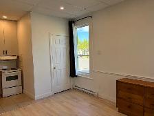 Très beau studio loft  1 1/2, rénové Libre Limoilou - Photo 9