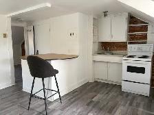Beau très grand 2 1/2 loft, Montcalm, Libre - Photo 3