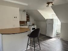 Beau très grand 2 1/2 loft, Montcalm, Libre - Photo 8