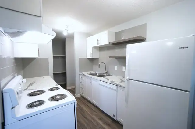 Gorgeous and Modern Fully Renovated 2 Bed Apartment, CATS OK!