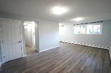 Gorgeous and Modern Fully Renovated 2 Bed Apartment, CATS OK! - Photo 3