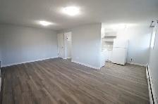 Gorgeous and Modern Fully Renovated 2 Bed Apartment, CATS OK! - Photo 4