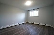 Gorgeous and Modern Fully Renovated 2 Bed Apartment, CATS OK! - Photo 7