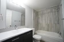 Gorgeous and Modern Fully Renovated 2 Bed Apartment, CATS OK! - Photo 8