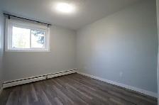 Gorgeous and Modern Fully Renovated 2 Bed Apartment, CATS OK! - Photo 9