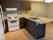 GORGEOUS 2 BEDROOM  BY THE RED DEER RIVER - LOW INCOME HOUSING - Photo 2