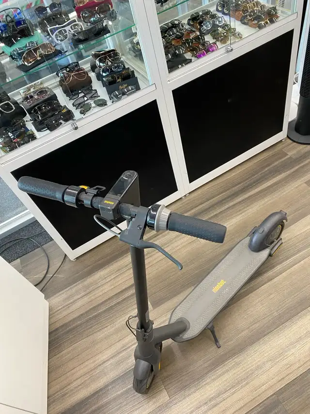 Segway Ninebot G30p