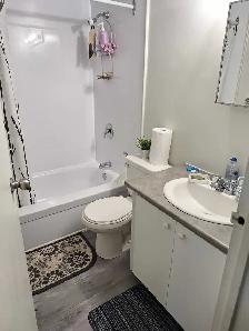Two Bedroom Apartment 1,229/Month - Photo 7