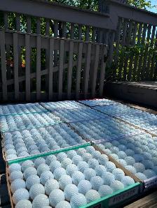 ⛳️USED GOLF BALLS⛳️PROV 1 TP5 CHROME⛳️RE LOAD 4A-5A 75% OFF NEW⛳ - Photo 3