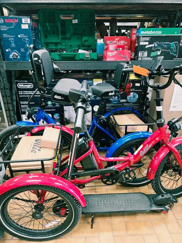Tricycle électrique