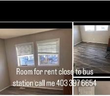 for rent